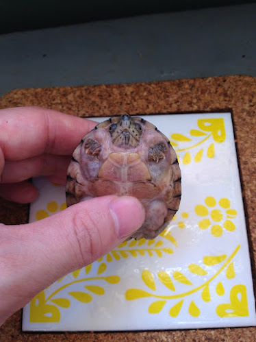 8EADF4B6-B2B2-4DAD-887B-CA11D495CE2A (1)